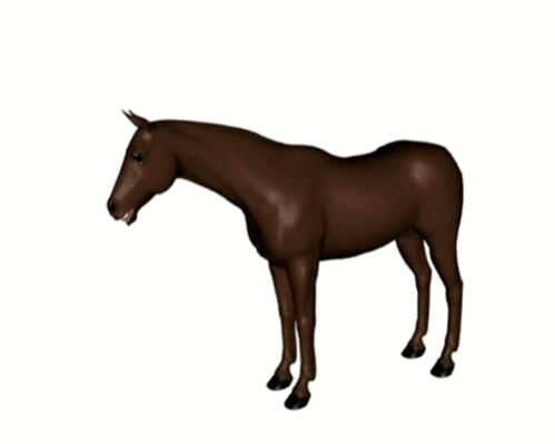 Perfect horse animation